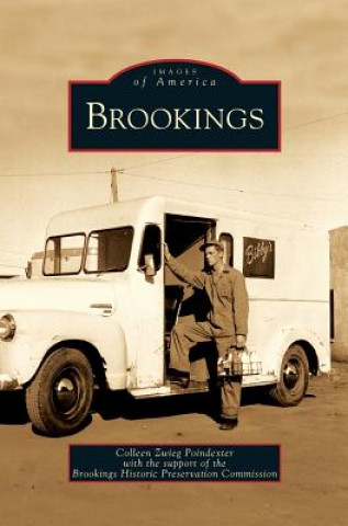 Kniha Brookings Colleen Zweig Poindexter