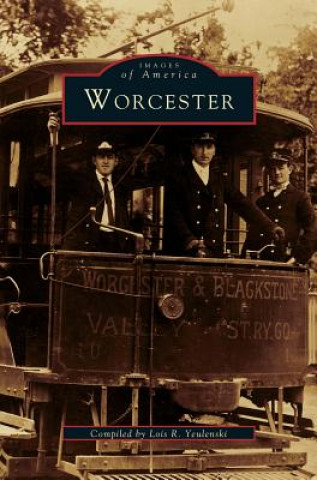 Knjiga Worcester Lois R. Teuneski