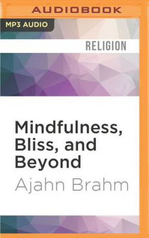 Digital Mindfulness, Bliss, and Beyond: A Mediator S Handbook Ajahn Brahm