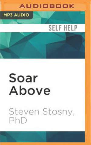 Digital Soar Above: How to Use the Most Profound Part of Your Brain Under Any Kind of Stress Steven Stosny