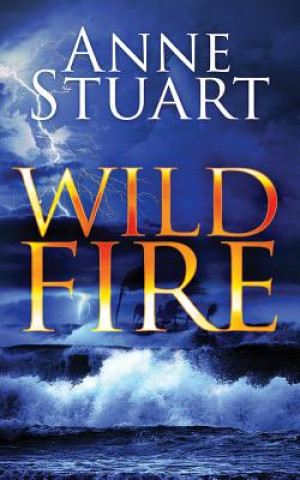 Audio Wildfire Anne Stuart