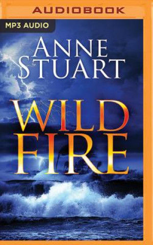 Digital Wildfire Anne Stuart