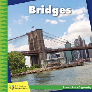 Книга Bridges Virginia Loh-Hagan