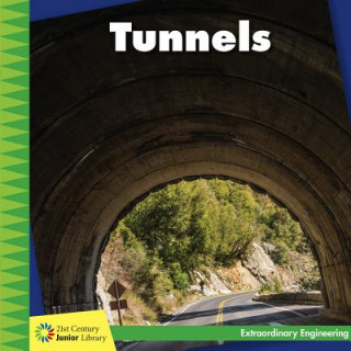 Könyv Tunnels Virginia Loh-Hagan