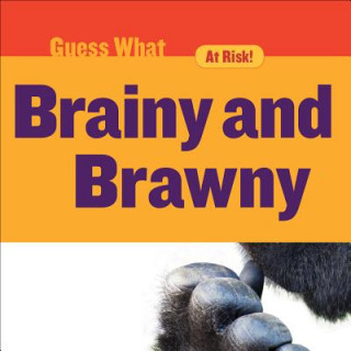 Kniha Brainy and Brawny: Gorilla Felicia Macheske