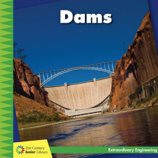 Βιβλίο Dams Virginia Loh-Hagan