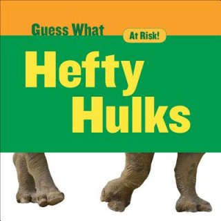 Buch Hefty Hulks: Rhinoceros Felicia Macheske