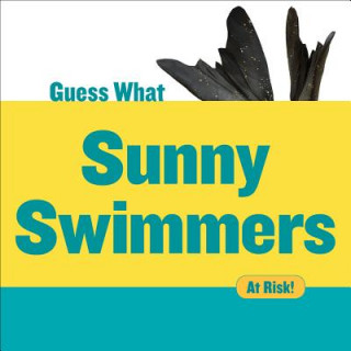 Kniha Sunny Swimmers: Monk Seal Felicia Macheske