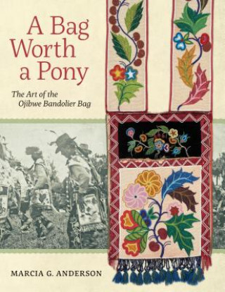 Book A Bag Worth a Pony: The Art of the Ojibwe Bandolier Bag Marcia G. Anderson