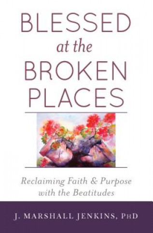 Книга Blessed at the Broken Places J. Marshall Jenkins Phd