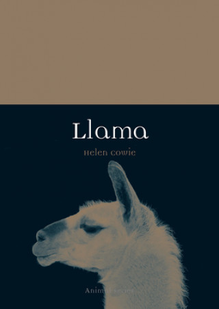 Kniha Llama Helen Cowie