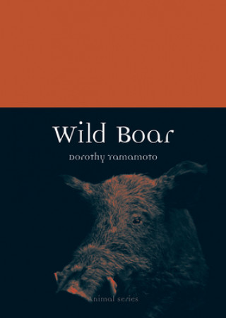 Carte Wild Boar Dorothy McCarthy