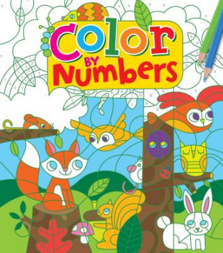 Книга Color by Numbers Lizzy Doyle
