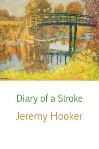 Knjiga Diary of a Stroke Jeremy Hooker