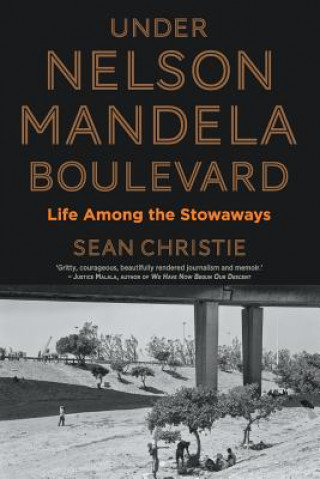 Книга Under Nelson Mandela Boulevard Sean Christie