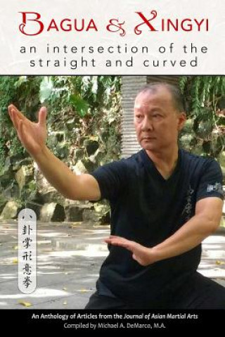 Könyv Bagua and Xingyi: An Intersection of the Straight and Curved Allen Pittman