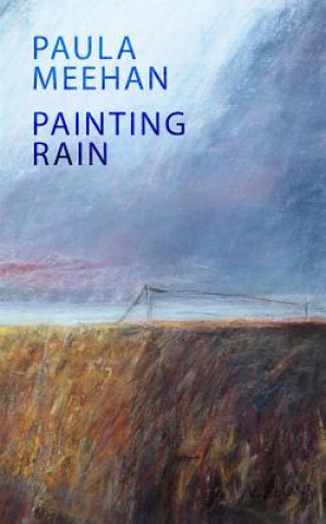 Książka Painting Rain Paula Meehan