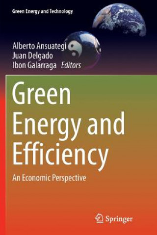 Carte Green Energy and Efficiency Alberto Ansuategi
