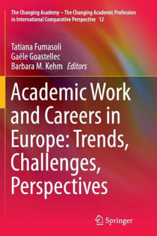 Könyv Academic Work and Careers in Europe: Trends, Challenges, Perspectives Tatiana Fumasoli