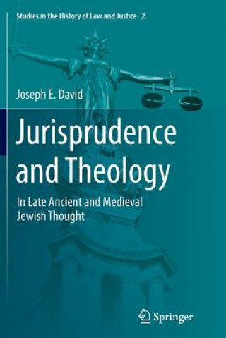 Книга Jurisprudence and Theology Joseph E. David