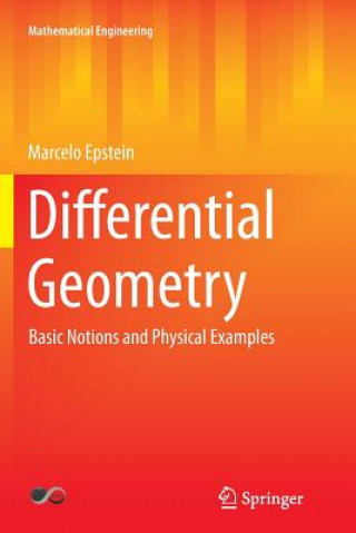 Книга Differential Geometry Marcelo Epstein