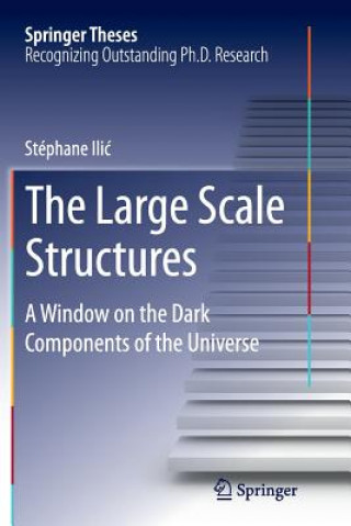 Libro Large Scale Structures Stephane Ilic