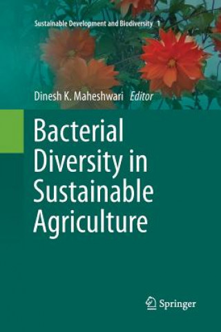 Könyv Bacterial Diversity in Sustainable Agriculture Dinesh K. Maheshwari