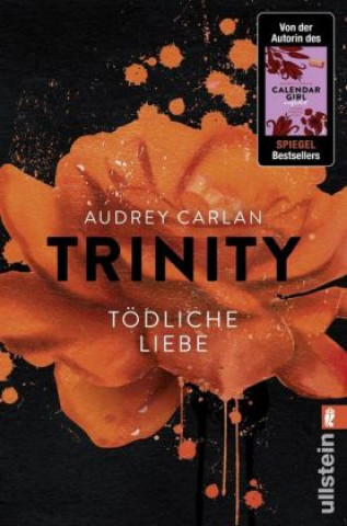 Kniha Trinity 03 - Tödliche Liebe Audrey Carlan