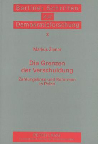 Könyv Die Grenzen der Verschuldung Markus Ziener