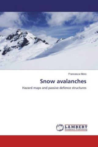 Boek Snow avalanches Francesca Moro
