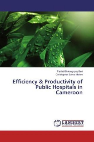 Kniha Efficiency & Productivity of Public Hospitals in Cameroon Parfait Bihkongnyuy Beri