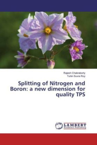 Kniha Splitting of Nitrogen and Boron: a new dimension for quality TPS Rajesh Chakraborty