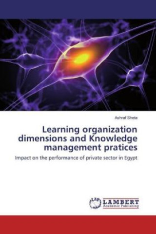 Livre Learning organization dimensions and Knowledge management pratices Ashraf Sheta