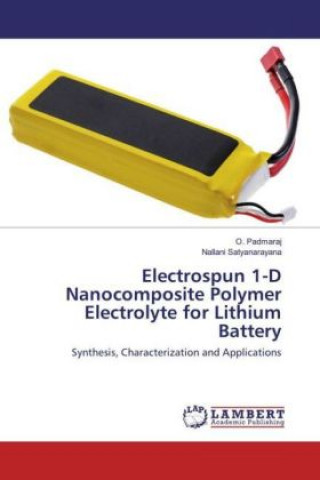 Buch Electrospun 1-D Nanocomposite Polymer Electrolyte for Lithium Battery O. Padmaraj