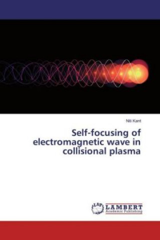 Buch Self-focusing of electromagnetic wave in collisional plasma Niti Kant