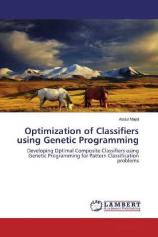 Kniha Optimization of Classifiers using Genetic Programming Abdul Majid