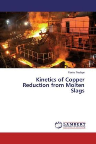 Książka Kinetics of Copper Reduction from Molten Slags Fiseha Tesfaye