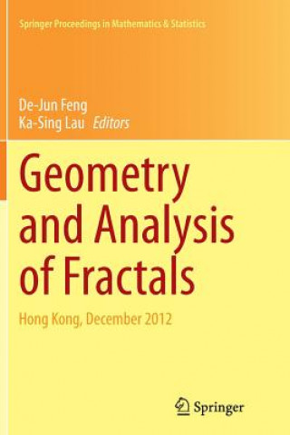 Kniha Geometry and Analysis of Fractals De-Jun Feng