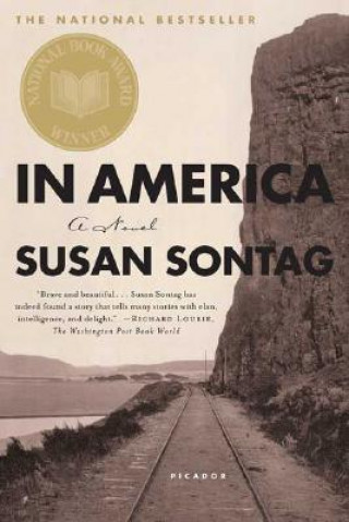 Carte IN AMERICA Susan Sontag