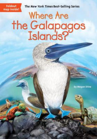 Kniha Where Are the Galapagos Islands? Megan Stine
