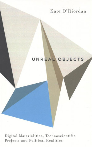 Kniha Unreal Objects Kate O'Riordan