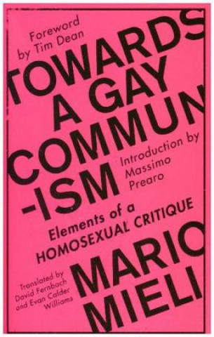 Kniha Towards a Gay Communism Mario Mieli
