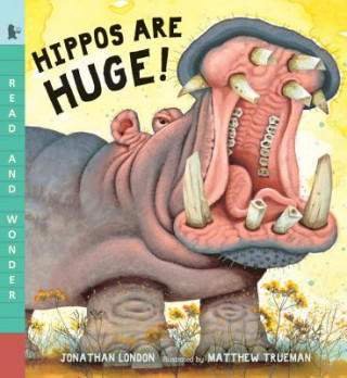 Kniha Hippos Are Huge! Jonathan London