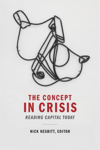 Kniha Concept in Crisis Frank Nesbitt