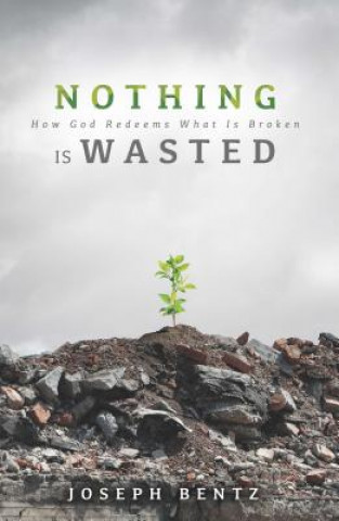 Carte Nothing Is Wasted: How God Redeems What Is Broken Joseph Bentz
