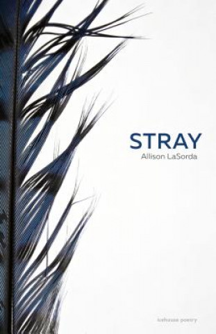 Knjiga Stray Allison Lasorda