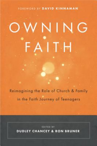 Book Owning Faith Ron Bruner