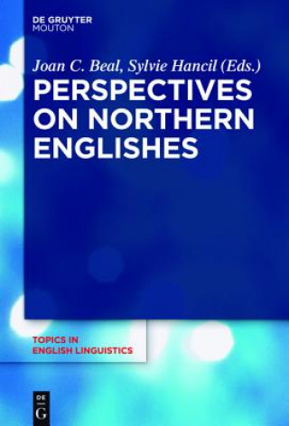 Buch Perspectives on Northern Englishes Joan C. Beal