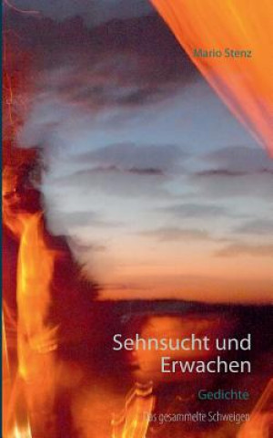 Kniha Sehnsucht und Erwachen Mario Stenz