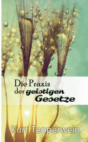 Libro Praxis der geistigen Gesetze Kurt Tepperwein